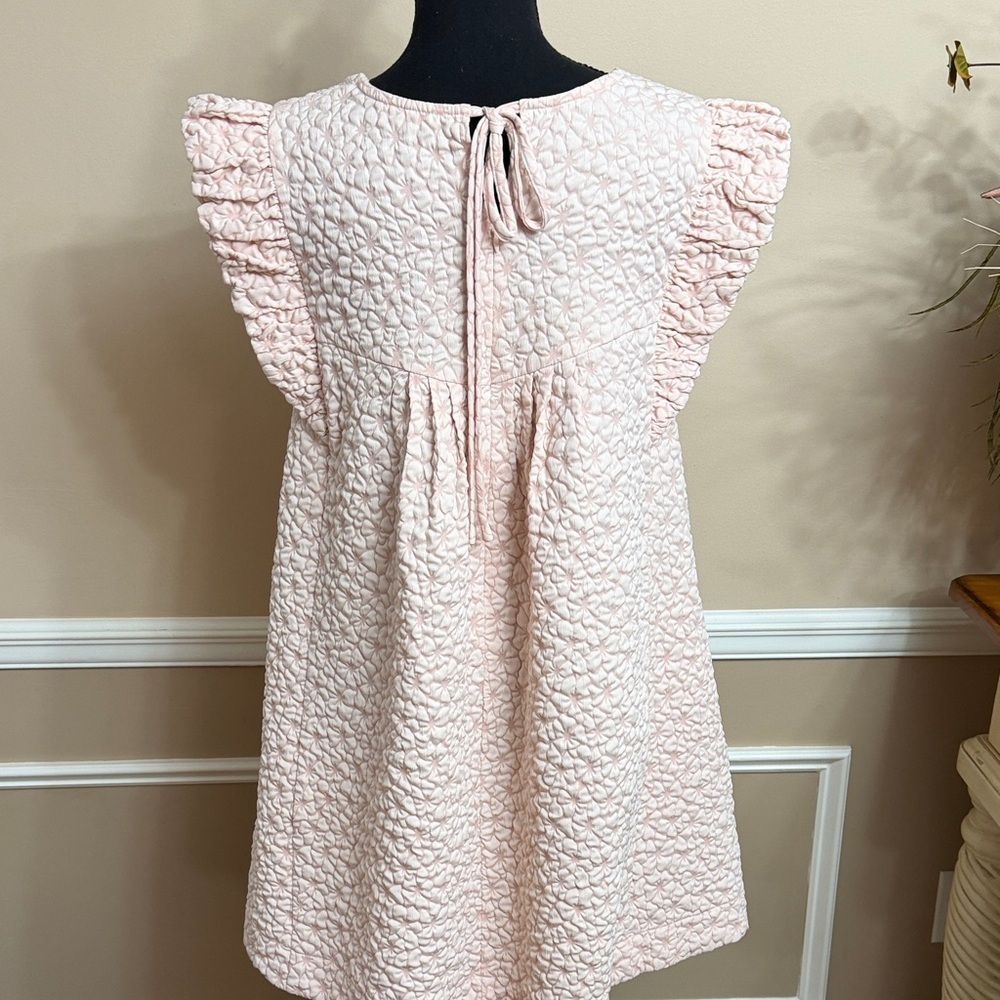 Pale Pink Textured Ruffled Sleeve Dress - Picture 9 of 16